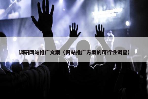 调研网站推广文案（网站推广方案的可行性调查）