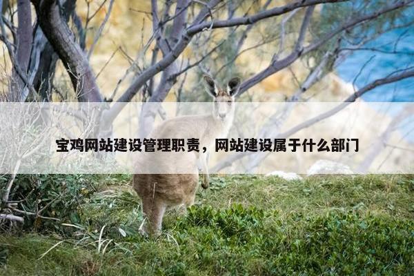 宝鸡网站建设管理职责，网站建设属于什么部门
