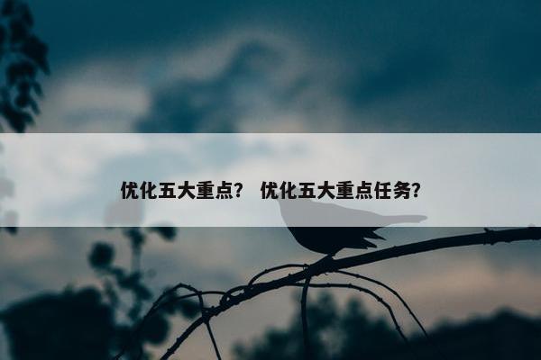 优化五大重点？ 优化五大重点任务？