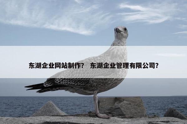 东湖企业网站制作？ 东湖企业管理有限公司？