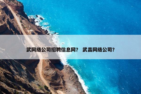 武网络公司招聘信息网？ 武昌网络公司？