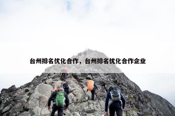 台州排名优化合作，台州排名优化合作企业