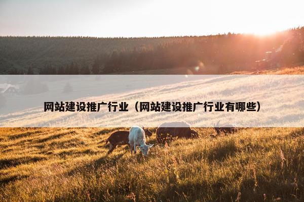网站建设推广行业（网站建设推广行业有哪些）