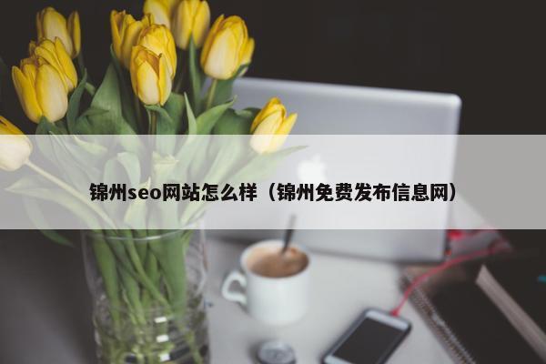锦州seo网站怎么样（锦州免费发布信息网）