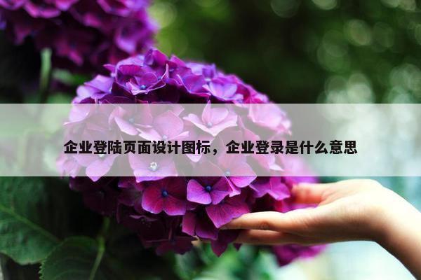 企业登陆页面设计图标，企业登录是什么意思