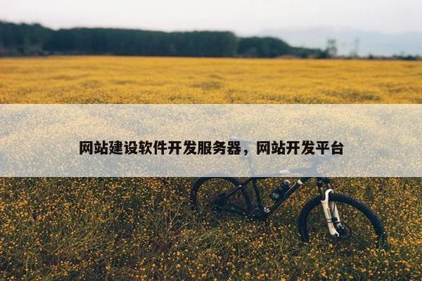 网站建设软件开发服务器，网站开发平台