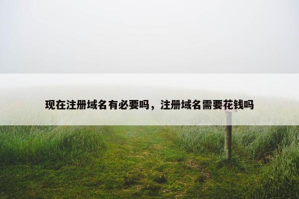 现在注册域名有必要吗，注册域名需要花钱吗