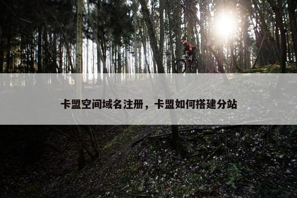 卡盟空间域名注册，卡盟如何搭建分站