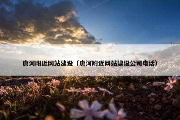 唐河附近网站建设（唐河附近网站建设公司电话）