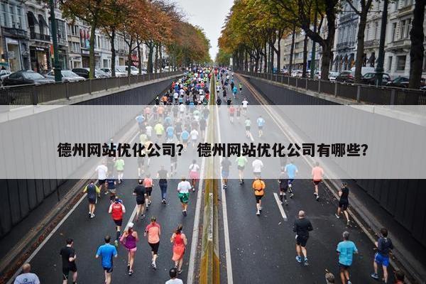 德州网站优化公司？ 德州网站优化公司有哪些？