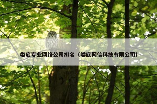 娄底专业网络公司排名（娄底网信科技有限公司）