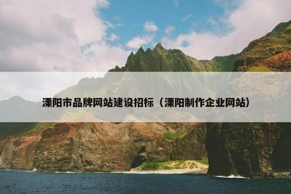 溧阳市品牌网站建设招标（溧阳制作企业网站）