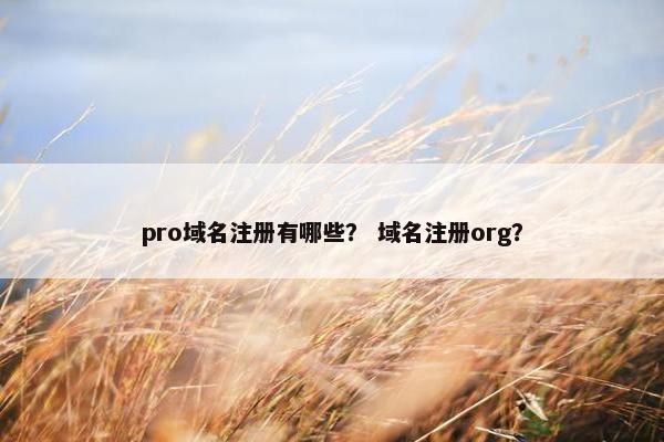 pro域名注册有哪些？ 域名注册org？