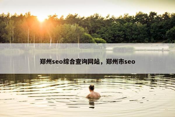 郑州seo综合查询网站，郑州市seo