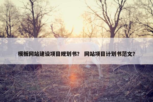 模板网站建设项目规划书？ 网站项目计划书范文？