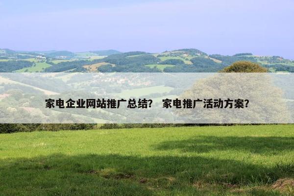 家电企业网站推广总结？ 家电推广活动方案？
