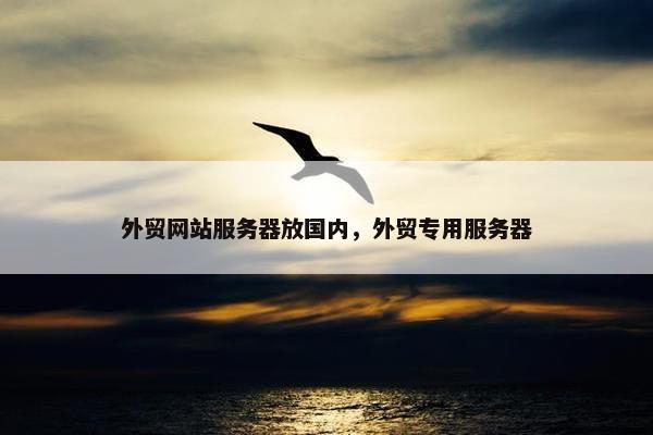 外贸网站服务器放国内，外贸专用服务器
