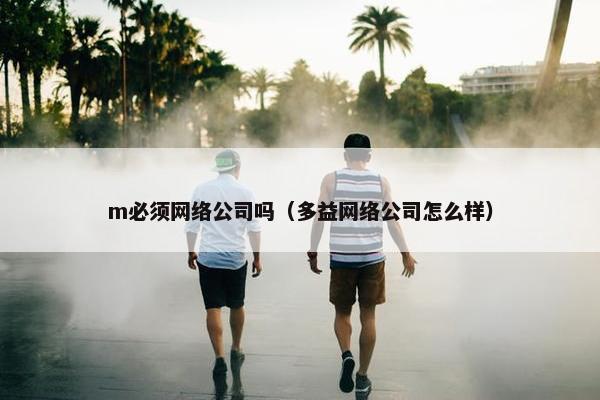 m必须网络公司吗（多益网络公司怎么样）