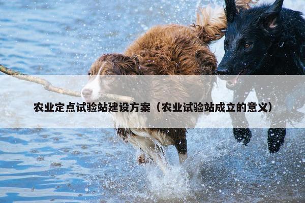 农业定点试验站建设方案（农业试验站成立的意义）