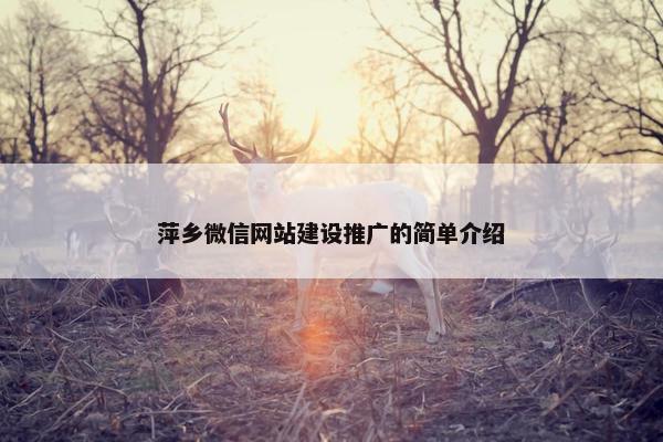 萍乡微信网站建设推广的简单介绍