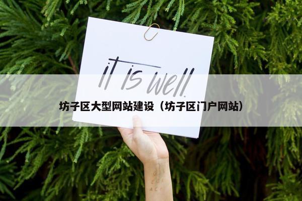 坊子区大型网站建设（坊子区门户网站）