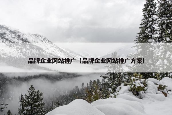 品牌企业网站推广（品牌企业网站推广方案）