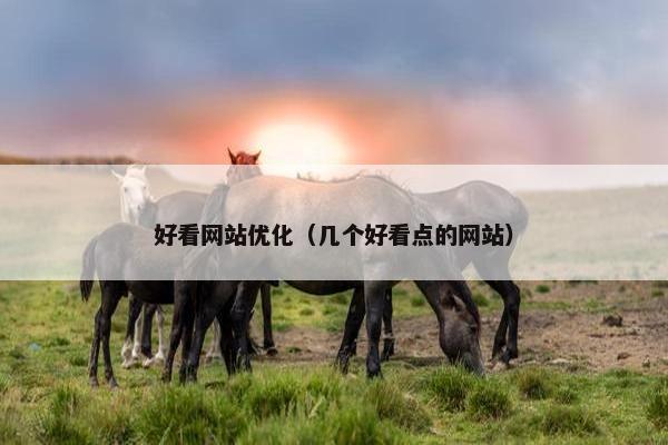 好看网站优化（几个好看点的网站）