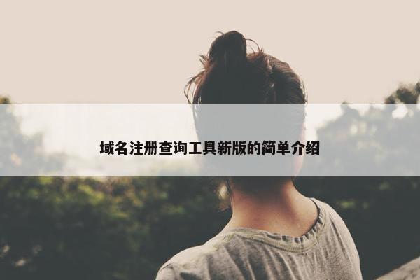 域名注册查询工具新版的简单介绍