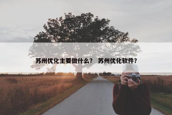 苏州优化主要做什么？ 苏州优化软件？