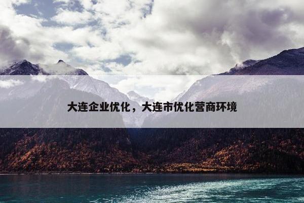 大连企业优化，大连市优化营商环境