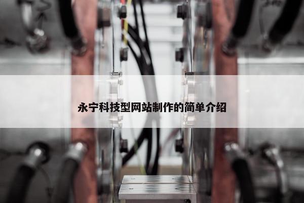 永宁科技型网站制作的简单介绍