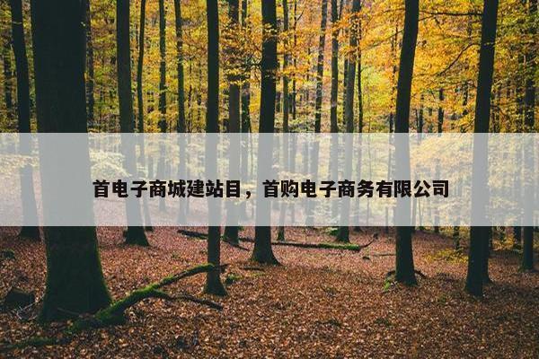 首电子商城建站目，首购电子商务有限公司
