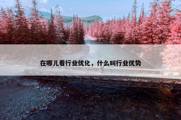 在哪儿看行业优化，什么叫行业优势