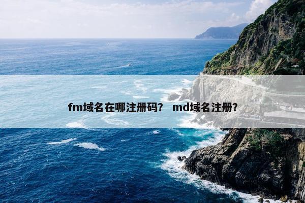 fm域名在哪注册码？ md域名注册？
