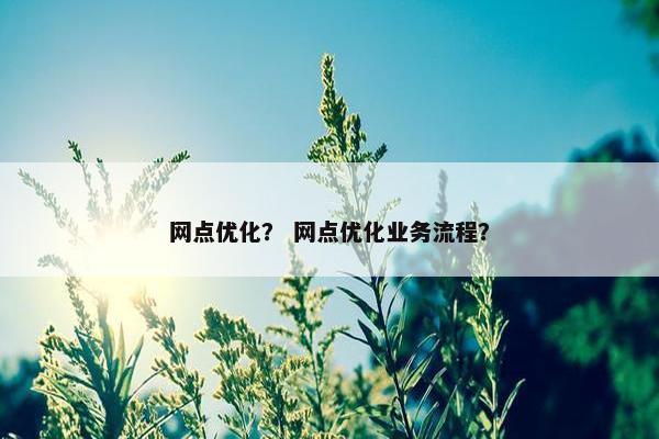 网点优化？ 网点优化业务流程？