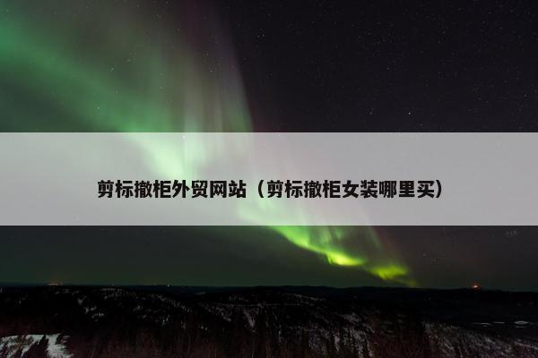 剪标撤柜外贸网站（剪标撤柜女装哪里买）
