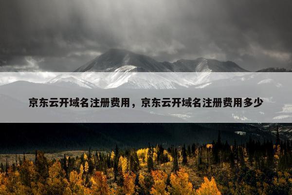 京东云开域名注册费用，京东云开域名注册费用多少