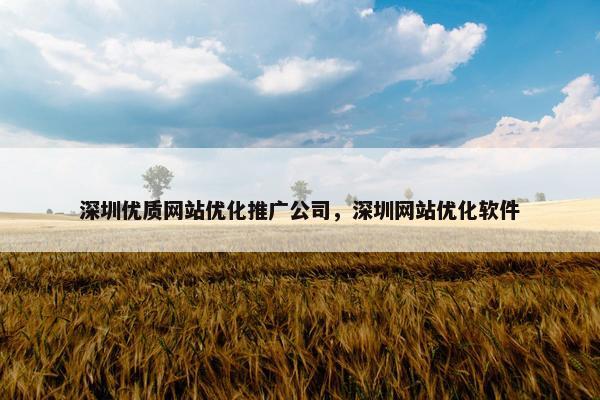 深圳优质网站优化推广公司，深圳网站优化软件