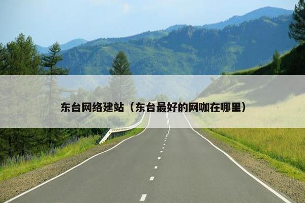 东台网络建站（东台最好的网咖在哪里）