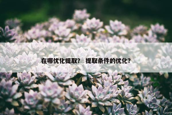 在哪优化提取？ 提取条件的优化？