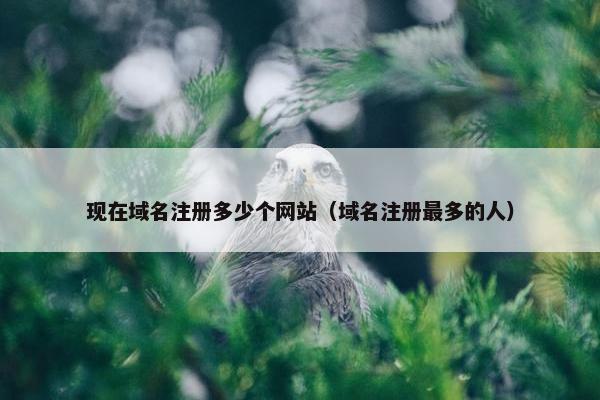 现在域名注册多少个网站（域名注册最多的人）
