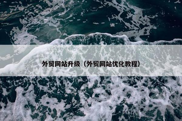 外贸网站升级（外贸网站优化教程）