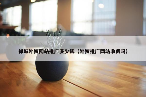 禅城外贸网站推广多少钱（外贸推广网站收费吗）
