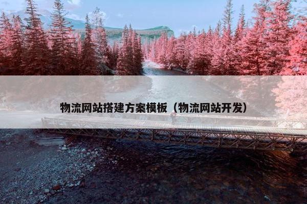 物流网站搭建方案模板（物流网站开发）