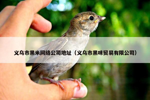 义乌市黑米网络公司地址（义乌市黑咪贸易有限公司）