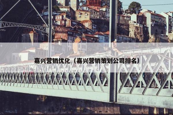 嘉兴营销优化（嘉兴营销策划公司排名）