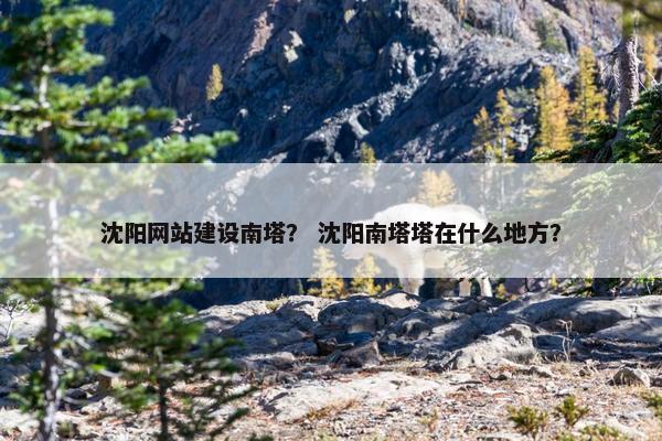 沈阳网站建设南塔？ 沈阳南塔塔在什么地方？