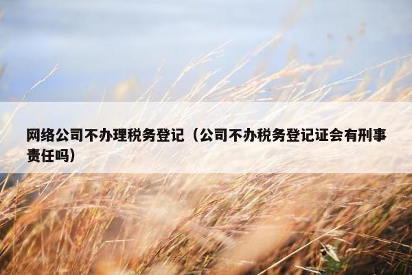 网络公司不办理税务登记（公司不办税务登记证会有刑事责任吗）