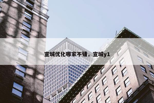 宣城优化哪家不错，宣城y1