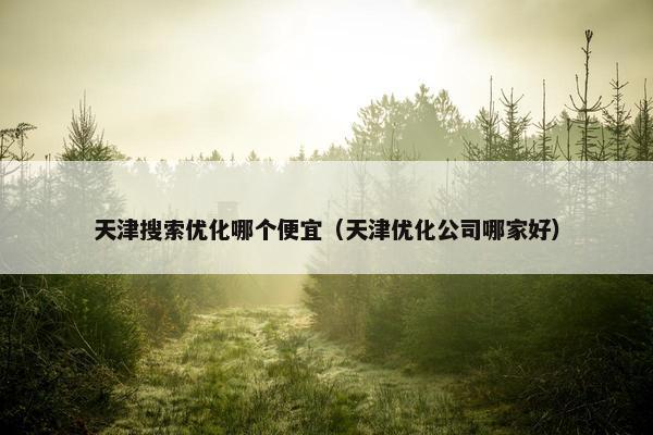 天津搜索优化哪个便宜（天津优化公司哪家好）